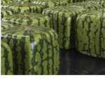 Melons clan