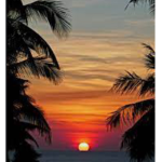 Starlight sunset!