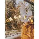 Honey Aesthetic Store