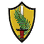 Joint Special Operations QRF