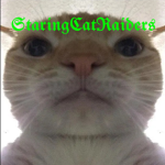 StaringCat raiders