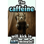 NEED COFFEE NOW