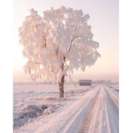 Aesthetic!! <3