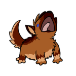 Zenix's Fanbase