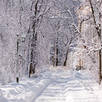 Winter Wonderland(Custom particles)