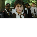 Harry Potter fandom club