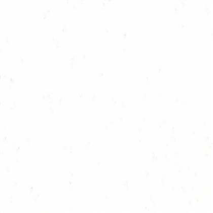 White Roblox decal