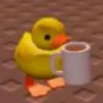 Duck socks