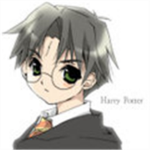 Harry Potter Lovers
