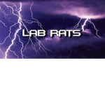 Łab rats