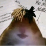 hamster100000000