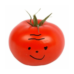 ˚ . ・ 🍅 ・ . ˚ 🌱 ♡