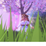 The Blossom Fan Group :)