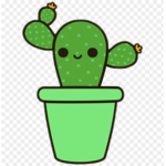 not_cactus