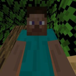 多 Steve