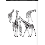 GIRAFFES ARE THE COOLEST ANIMAL ALLIVE