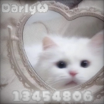 darlyW