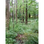 Wilderness exploring