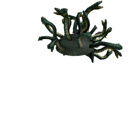 Medusaページ Medusa - Roblox