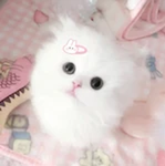 awakuz
