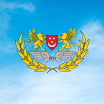 Royal Temasek Air Force
