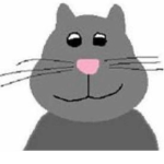 the OFFICIAL cat club (real)