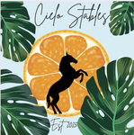 Cielo Stables