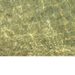 Gayo
