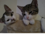 6&9