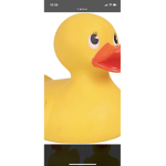 Duckie Rats