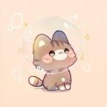 coppy0409