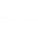 Cowfan Vision Electronics