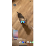 Iheartcats<~>