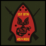 1st Battalion, 45th Marine Regiment