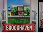 Brookhaven is crazy