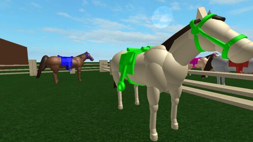 Own a Horse and Raise a horse
