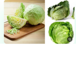 CABBAGE.CO