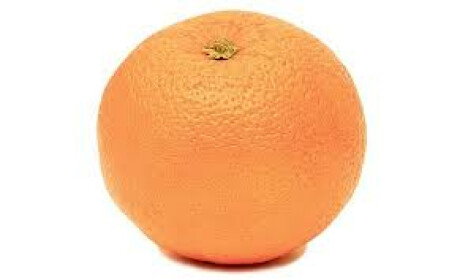 Find the orange memes! [19]