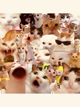 Cat and dog lovers only:3