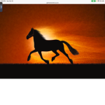 Heartside riding academy