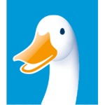 The United Ducks Of America