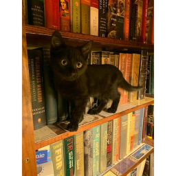 meow