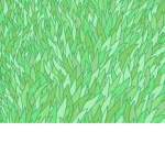 S.S. Grass