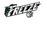 NY Freeze