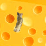 THE CHEESE WEASELS