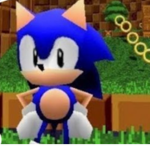 The only Poly sonic roleplay group!