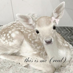 ༊*·˚