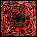 The Cellar.