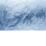ICY FROSTY SQUAD