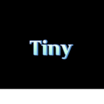 Tiny 그룹
